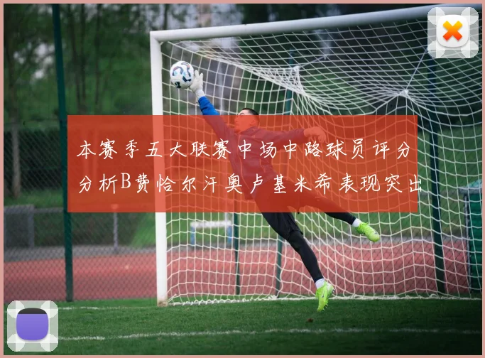 本赛季五大联赛中场中路球员评分分析B费恰尔汗奥卢基米希表现突出
