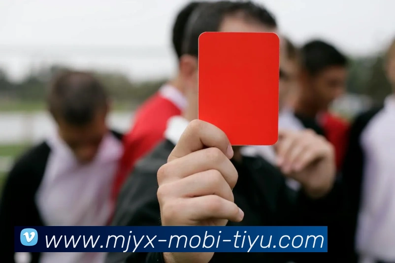 麻将胡了平台生态图